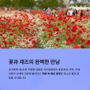 태화강라이브 이미지