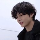 강아지랑고양이 이미지