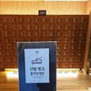 (주) 호텔수성사우나 | 대구 인터불고호텔 사우나 및 세신 이용후기(with 신한 에이스카드, 크리스마스 분위기)