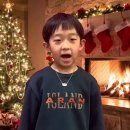 플럼트리 이미지