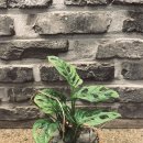 용전4로2길 이미지