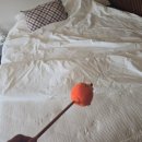 프라우드 제주 이미지