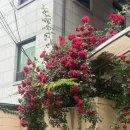 [서울] 강남구청 브런치카페tyme(타임) 후기