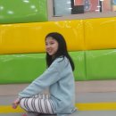 청용태권도장 이미지