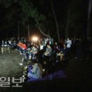 대송면 홍계숲 이미지