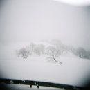 더하얀세상 이미지