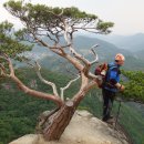 부산은행 앞 사거리 맞은편 이미지