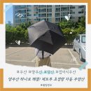 양우산 하나로 해결! 제트투 초경량 자동 우양산 솔직 후기