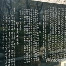 양대박 부자충의문 티스토리