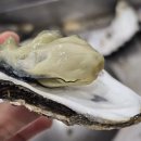 바다향 | 인천 구월동 굴찜 맛집 바다향 웨이팅 솔직 후기