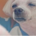 덕천지하철약국 네이버블로그