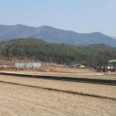 두동면주민자치센터 이미지