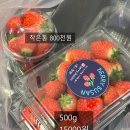 농업회사법인 성원팜 주식회사 | 부산 딸기체험 : 서면에서 사계절 체험이 가능하다니?