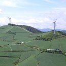 바우길 17구간 이미지