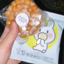 부어라 마셔라 클럽