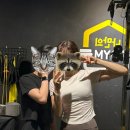 주앤짐 | 교대역헬스장 나만의짐 교대점에서 프라이빗하게 운동한 후기