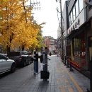 호텔 테리스 이미지