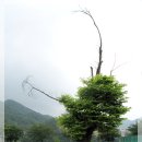 단성생활체육공원 이미지