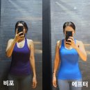 사랑방한의원 | 뱃살, 뒷구리 급찐급빠 청담한의원 라인이펙터 5회 후기