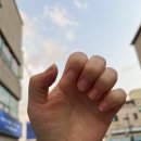 제천식육점 - 제천시 풍양로 108 | [26.06.08-26.06.14]6월 둘째주 일기
