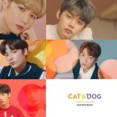 모아 dog 이미지