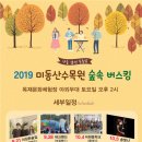 숲속버스킹 이미지