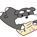 무무마켓