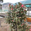 십이리체육공원 이미지