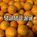 대림청과 - 서대문구 영천시장길 8 | 대림청과