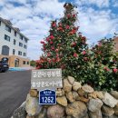 고은관광농원 휴양콘도미니엄 이미지