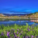 성건동행정복지센터-3 이미지