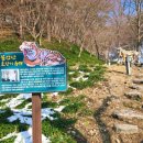 영광 불갑사 대웅전 | 영광 여행 가볼 만한 곳 불갑사의 겨울 동안거 백일기도