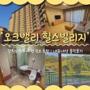 지에스25 고진역힐스점 | 강원도 원주 여행 숙소 추천 오크밸리 힐스빌리지 35평_체크인 팁, 부대시설, 어메니티