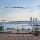 썬플라워하우스 이미지