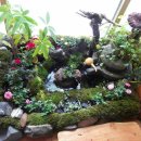 백중약국 이미지