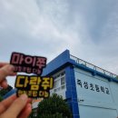 죽성초등학교병설유치원 이미지