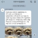유앤아이동물병원 네이버블로그