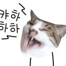 백운역 남광장 이미지