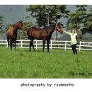 장수목장 이미지