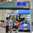 그늘막100 이미지