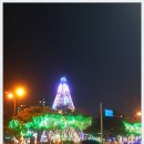 대숲여행 이미지