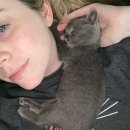 신디농장 이미지