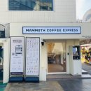 매머드 익스프레스 홍대정문점 네이버블로그