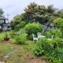 리버빌펜션 이미지