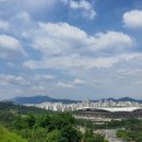 평화활선