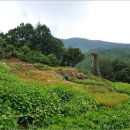 김삿갓면-36 이미지