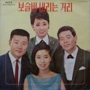 보슬비 Daum카페