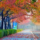 금정체육공원 네이버블로그