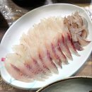 민호축산 | 포항 맛집 대게·회·물회까지 한 번에｜죽도시장 영해회식당 2인세트 리얼 후기 (농림축산부 안심식당)