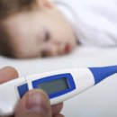 우리 똥강아지 이미지